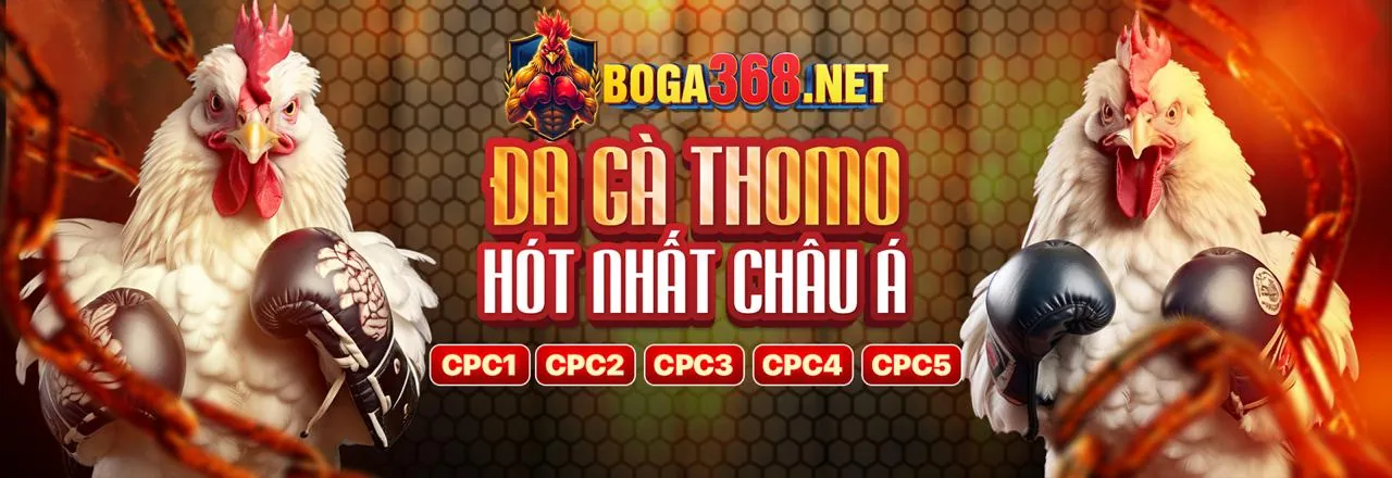 Câu Lạc Bộ VIP xocdia88 link vào - Trải nghiệm đẳng cấp thượng lưu